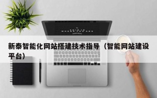 寿光新泰智能化网站搭建技术指导（智能网站建设平台）